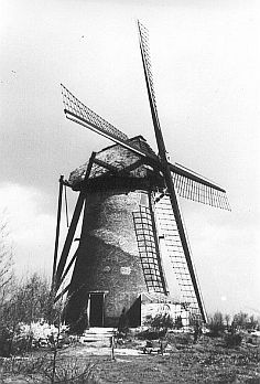 De door Jungerius verbouwde molen in de zestiger jaren.